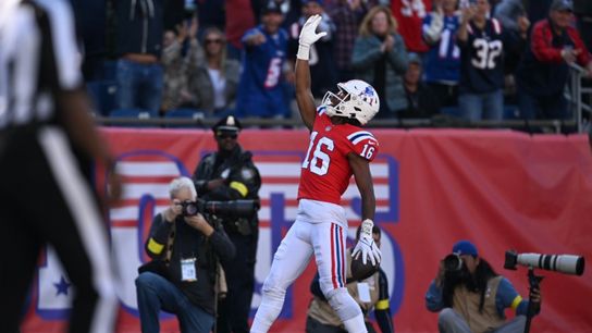 Final: Patriots 29, Lions 0 - Patriots defense feasts on hapless Lions in shutout performance taken at Gillette Stadium (Patriots)